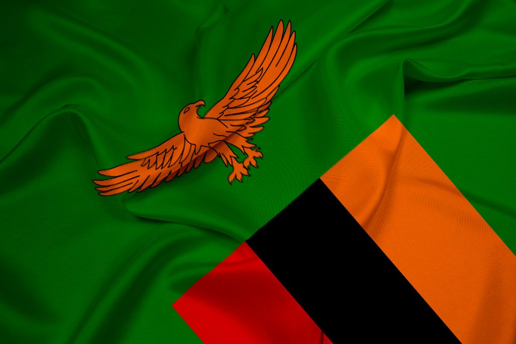 Waving Flag Zambia Department Of Immigration
