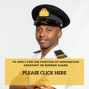 application letter zambian